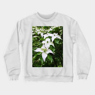 Pointed Dogwood Blossom Crewneck Sweatshirt